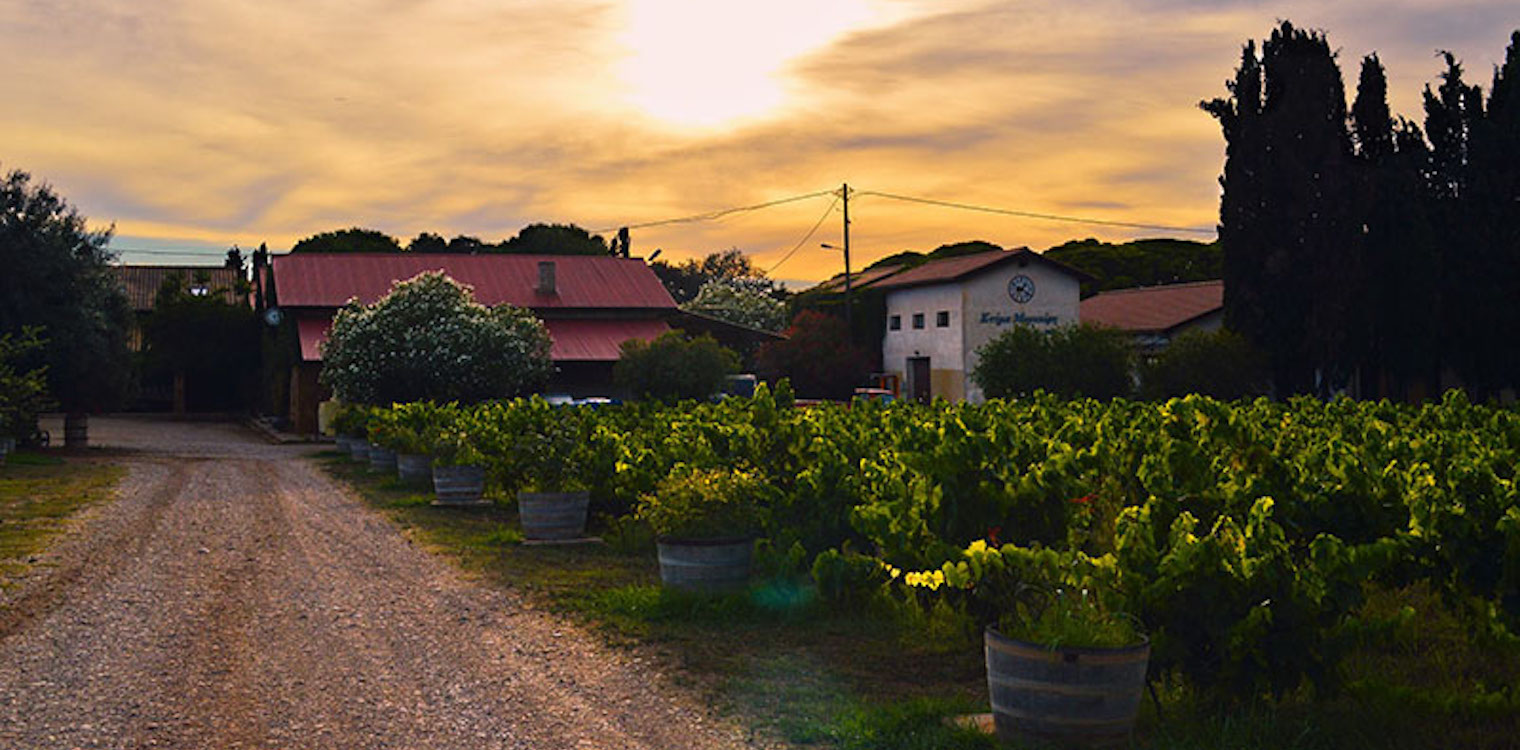 Open Farm Days 2021 στο Κτήμα Μερκούρη