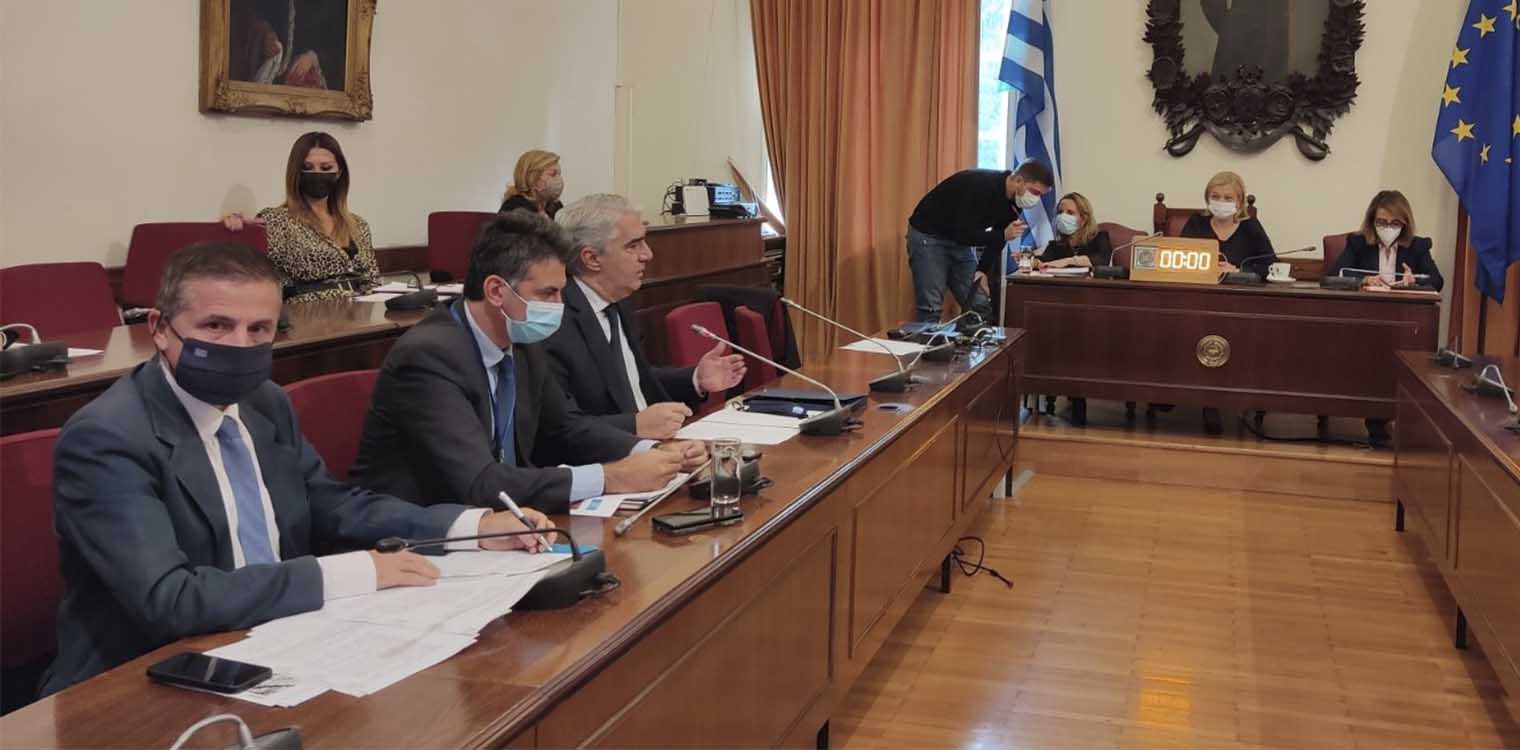 Αυγερινοπούλου: Η αποκατάσταση των πυρόπληκτων περιοχών της Ηλείας στη Βουλή