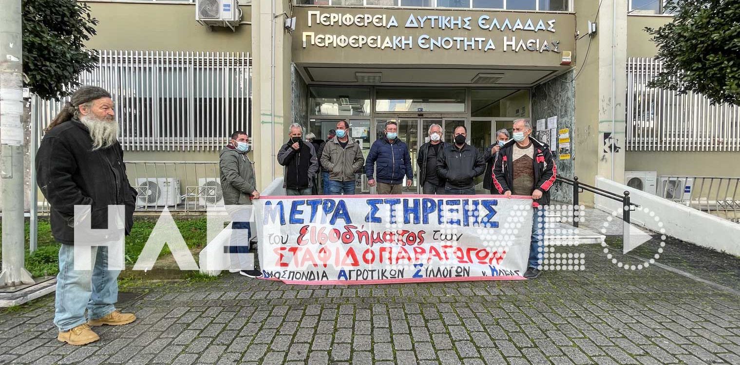 Ηλεία: Έτοιμοι για μπλόκα οι αγρότες - “Σημαία” το θέμα της τιμής της σταφίδας