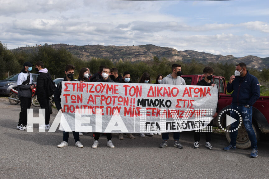 agrotes pelopio 3
