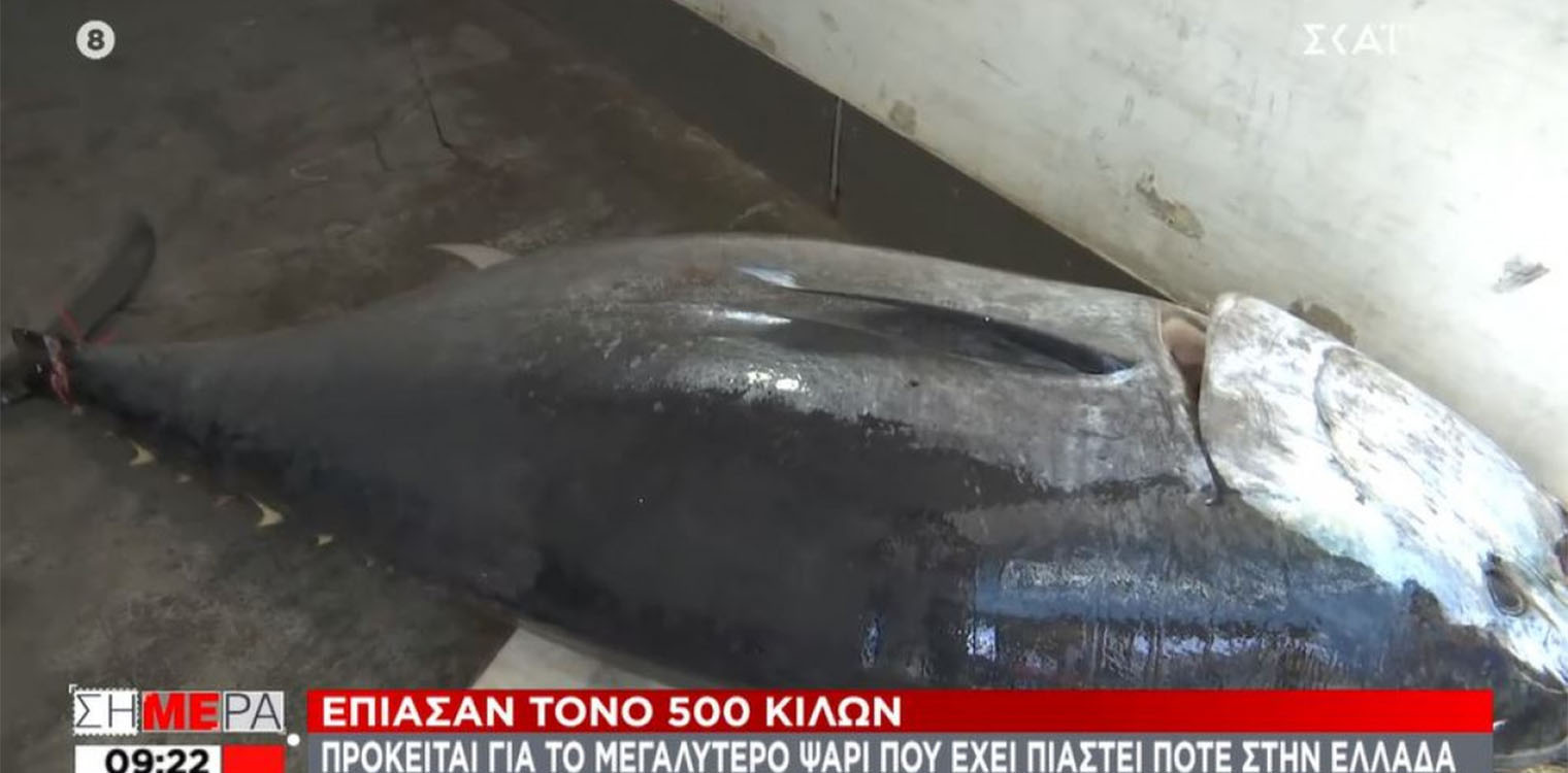 Απίστευτο: Έπιασαν τόνο 390 κιλών και μήκους 3 μέτρων στο Ιόνιο Πέλαγος!