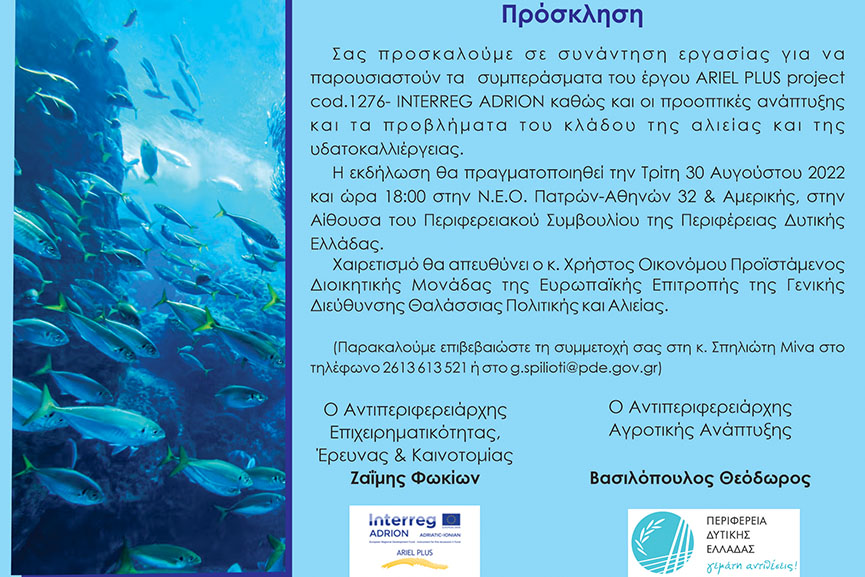 ARIELPLUS prosklisi 2