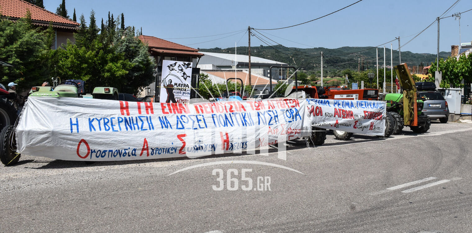 Τελευταία ελπίδα για τις ιερές εκτάσεις Χειμαδιού, Κουτσοχέρας, Περιστεριού