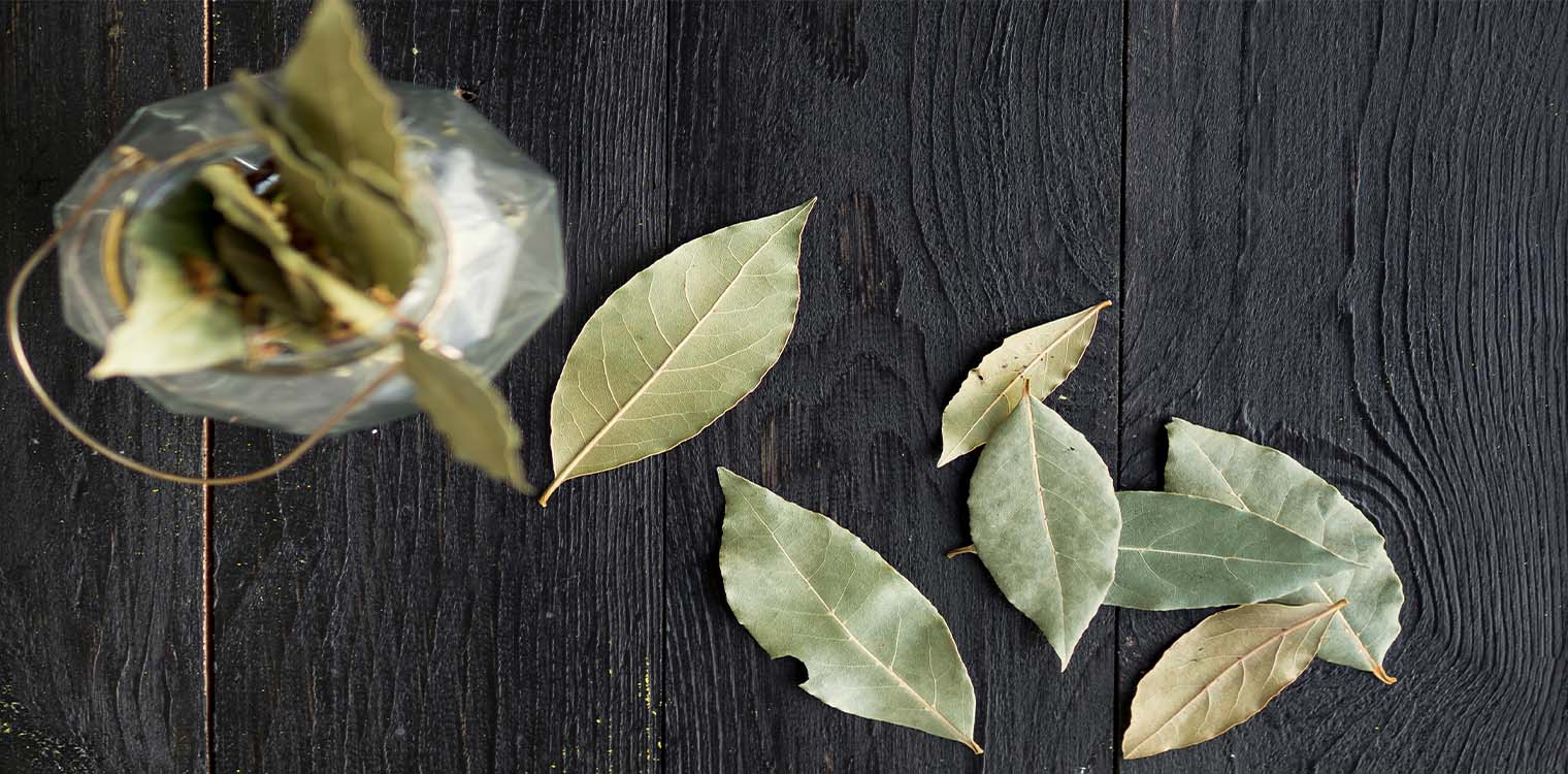 Τα αποξηραμένα αρωματικά φύλλα που ωφελούν το πεπτικό και ρυθμίζουν χοληστερόλη και σάκχαρο