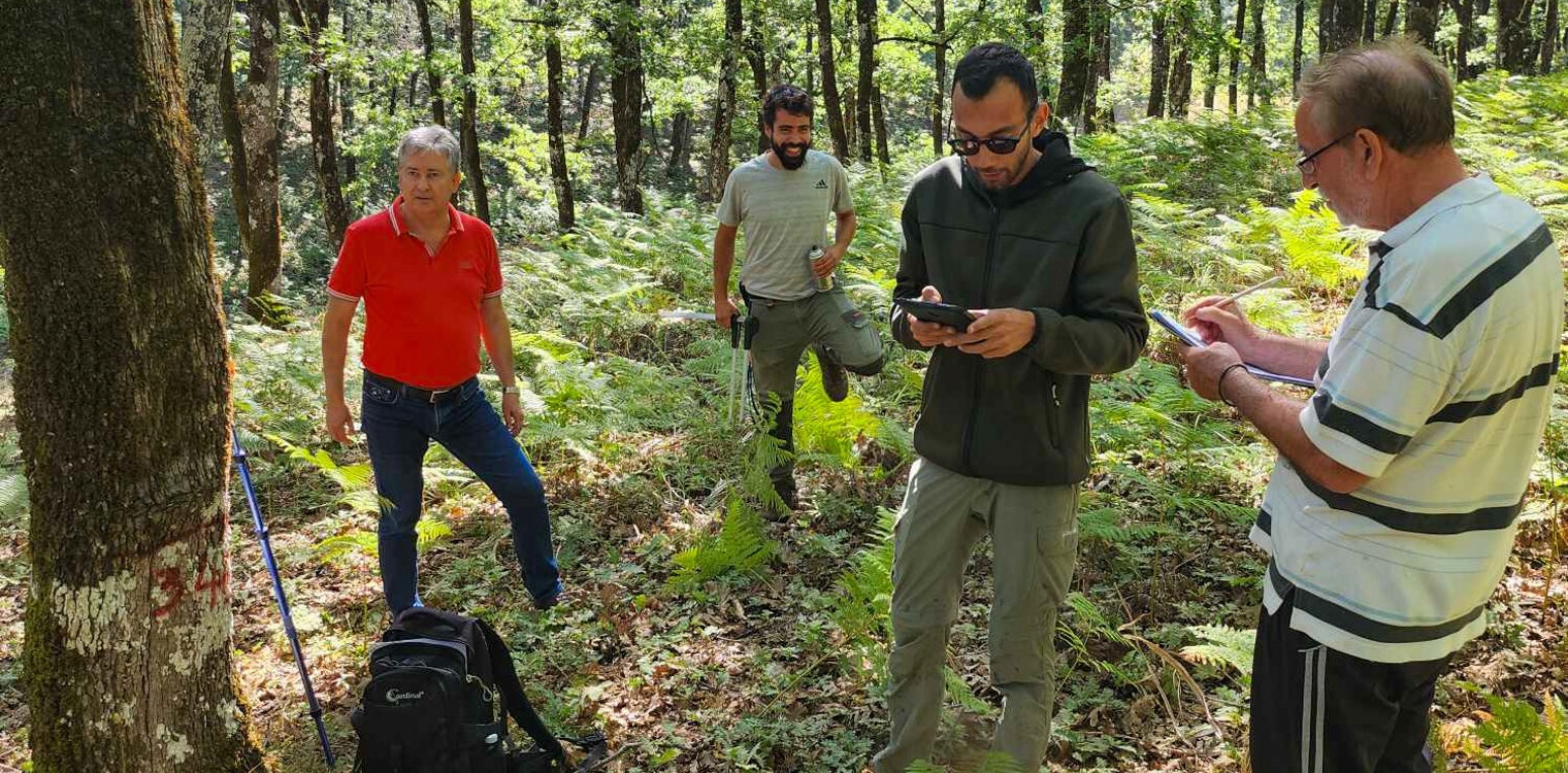 Δασαρχείο Πύργου: Ξεκίνησε η εκπόνηση της διαχειριστικής μελέτης σε Φολόη και Λαμπεία