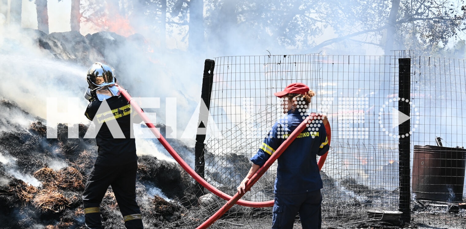 Χανάκια Πύργου: Πυρκαγιά σε στάβλο με άλογα - Σώθηκαν τα ζώα (photos &amp; video)