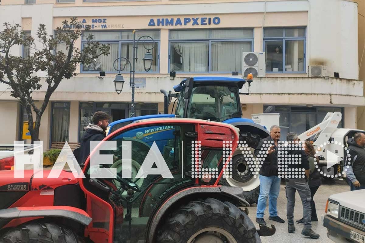 agrotes lexaiana 2