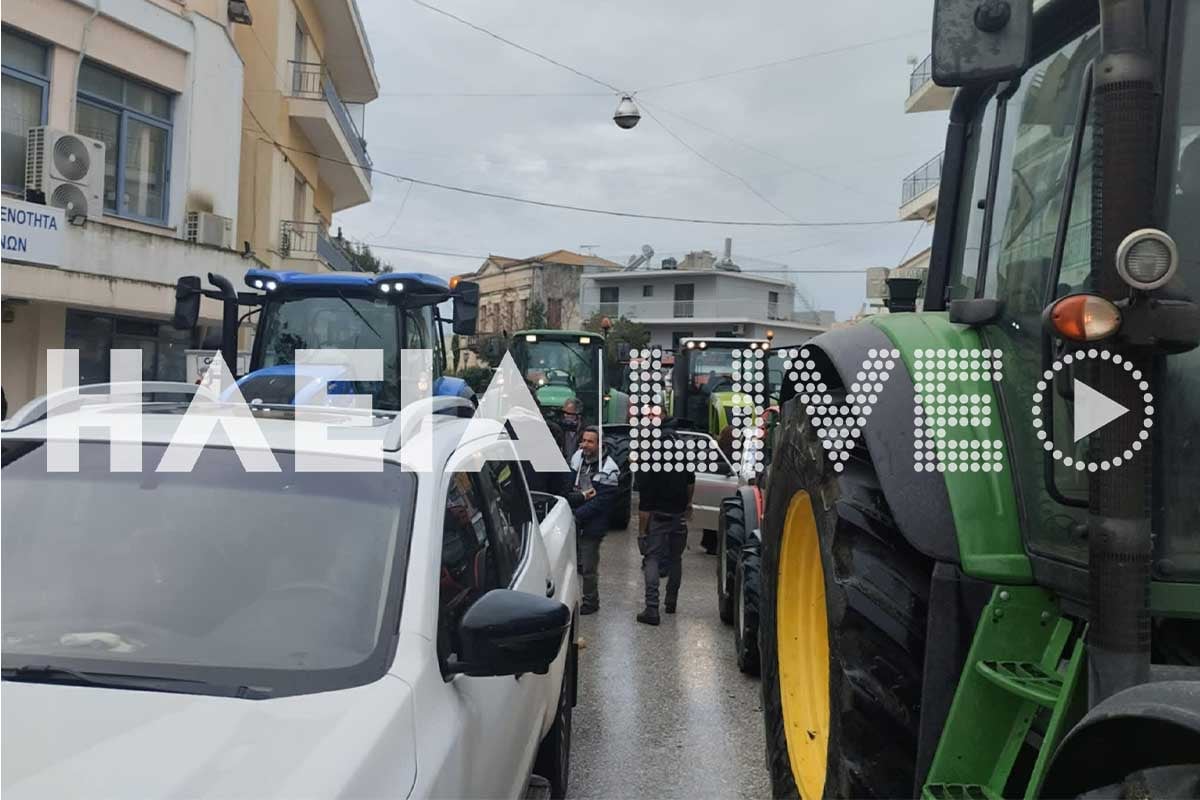 agrotes lexaiana 4