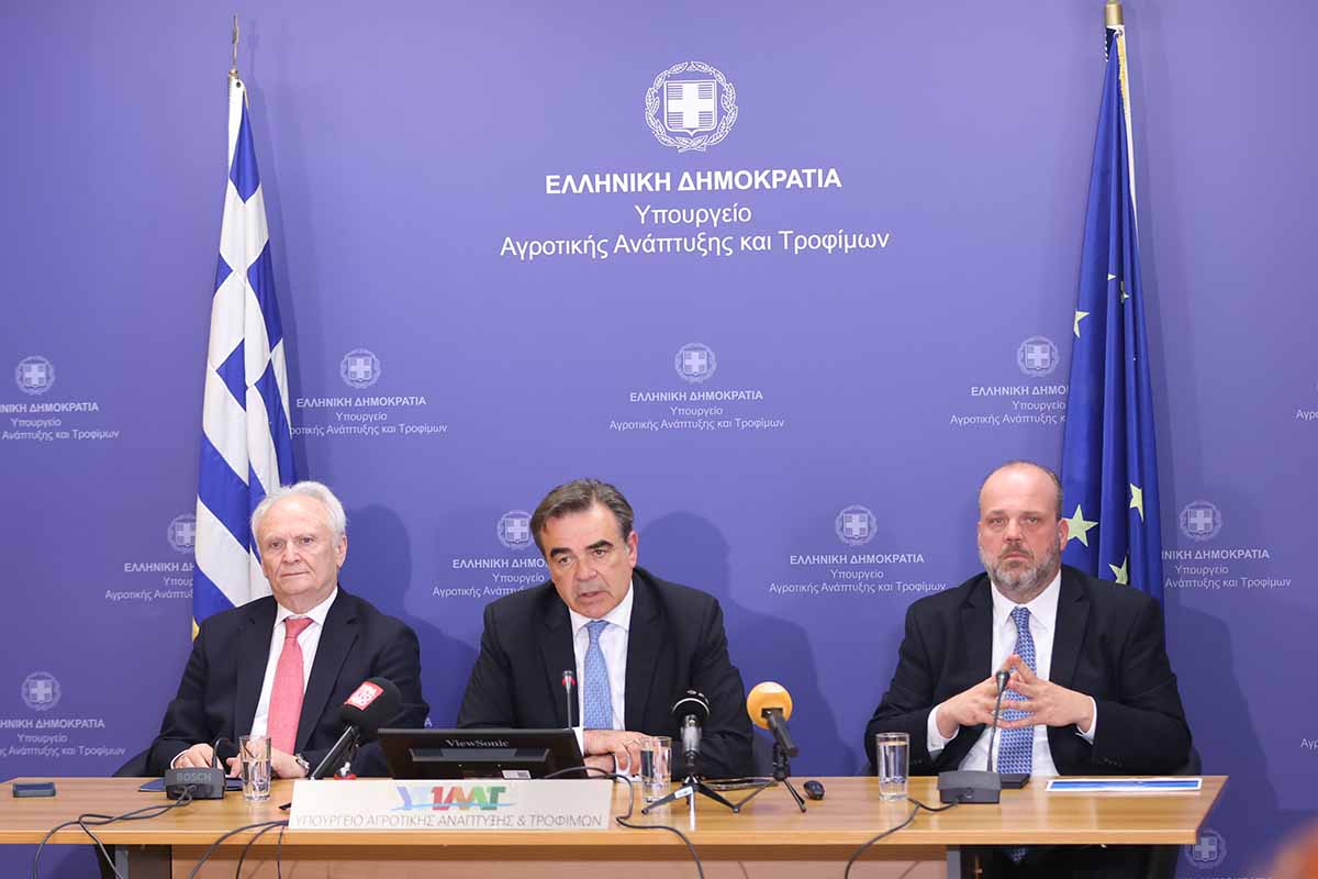 dt sxoinas lesvos (2)