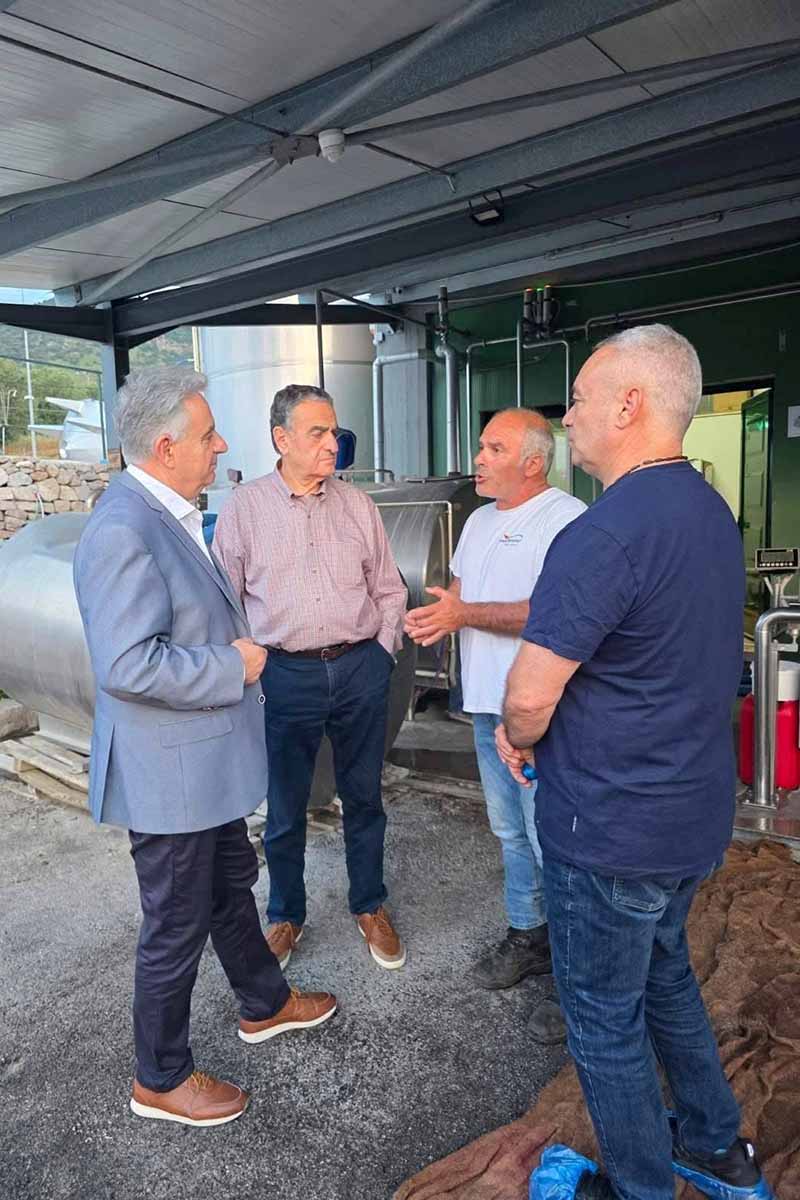 dt lesvos 4