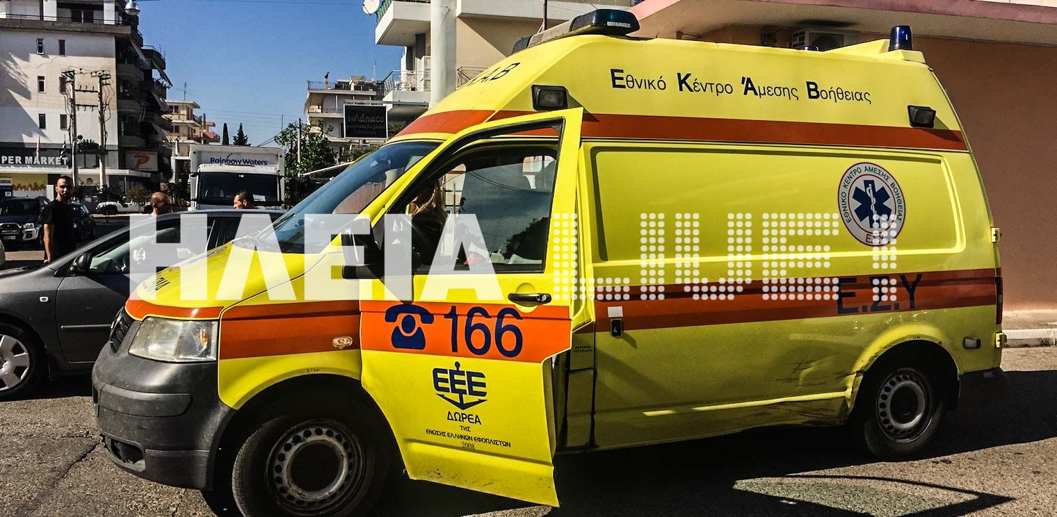 Φθιώτιδα: Επίθεση αρκούδας σε βοσκό – Τον τραυμάτισε σοβαρά στο πρόσωπο