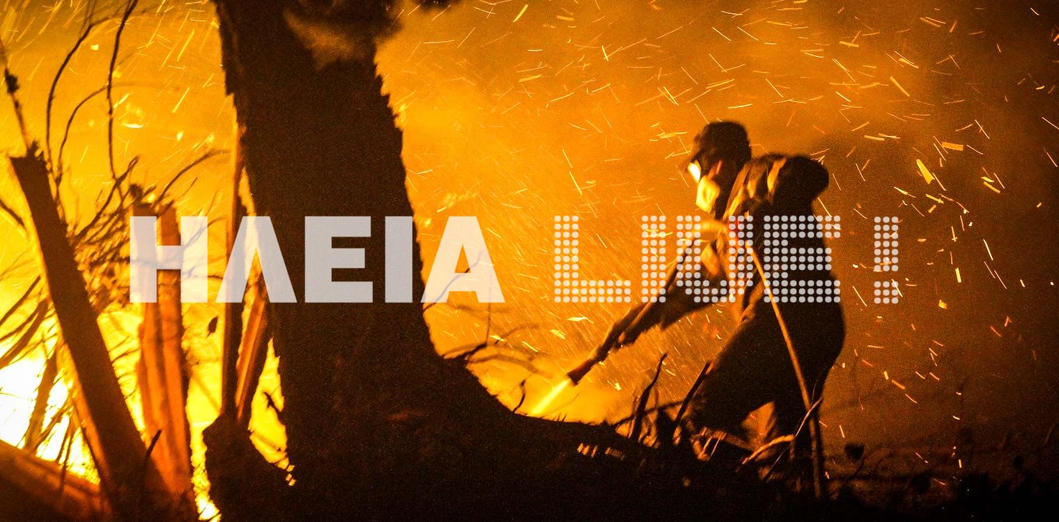WWF: Κάηκαν πάνω από 1,6 στρέμματα δάσους - «SOS» για 23 Προστατευόμενες Περιοχές