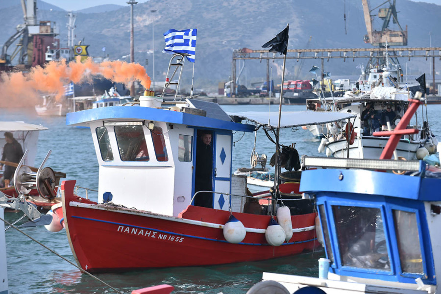Λαγοκέφαλοι: Ξεκινά κι επίσημα το σαφάρι για τον αφανισμό των πληθυσμών τους στις ελληνικές θάλασσες