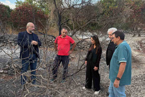 Αρναούτογλου: Η Ευρώπη να στηρίξει τους Μαστιχοπαραγωγούς
