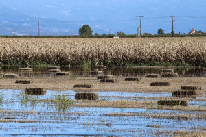 Πτολεμαΐδα: Δυόμισι χρόνια περιμένουν τις αποζημιώσεις λένε οι πλημμυροπαθείς