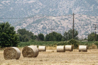 ΥπΑΑΤ: Στη Βουλή το αγροτικό πολυνομοσχέδιο – Τι περιλαμβάνει