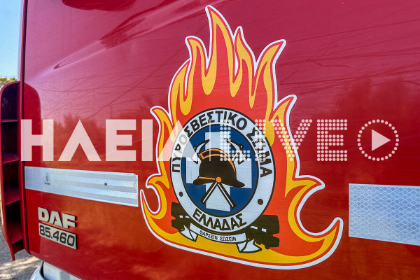 Συνελήφθησαν δύο άνδρες για πυρκαγιά από αμέλεια στο Κρυονέρι