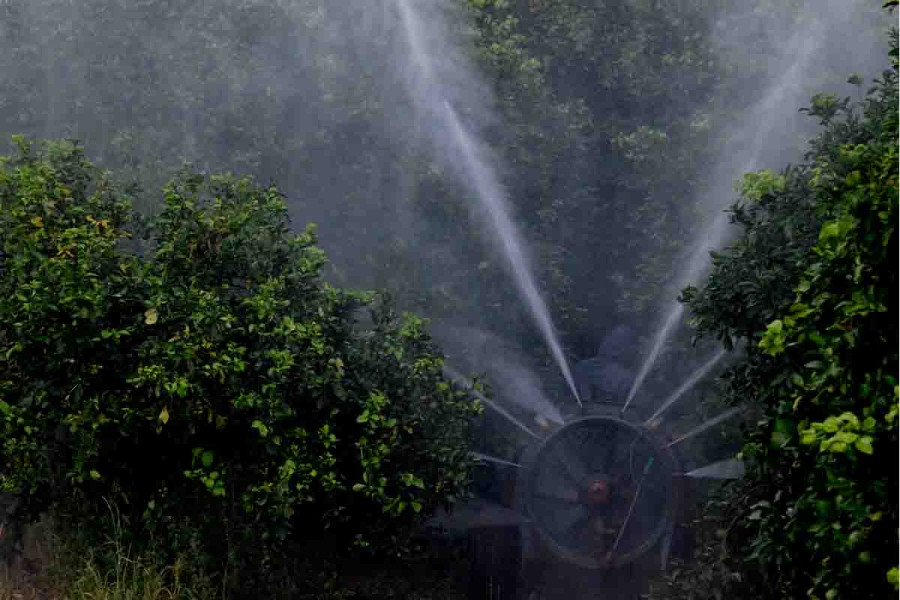 Αυτές είναι οι 5 χώρες της ΕΕ με την μεγαλύτερη χρήση φυτοφαρμάκων στα προϊόντα τους