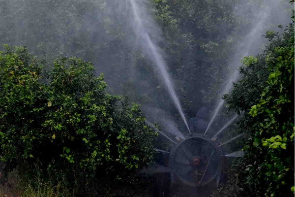 Αυτές είναι οι 5 χώρες της ΕΕ με την μεγαλύτερη χρήση φυτοφαρμάκων στα προϊόντα τους