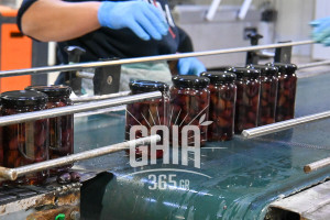 Στον αέρα οι εξαγωγές της Ηλείας – “Παγωμένοι” οι επιχειρηματίες με τους νέους δασμούς των ΗΠΑ