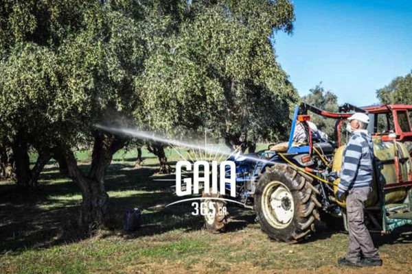 ΔΑΟΚ Ηλείας: Πρόγραμμα δολωματικών ψεκασμών στις 18/08