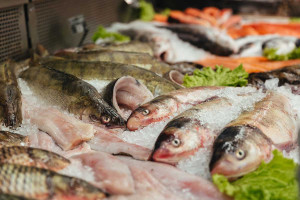 ΕΕ: Πολυτέλεια το φρέσκο ψάρι – Υπό πίεση η αγορά