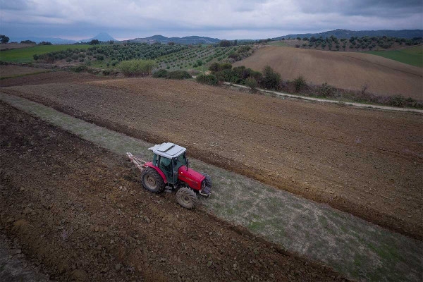 ΔΑΟΚ Ηλείας: Παράτασης εκμίσθωσης εκτάσεων του Δημοσίου για καλλιέργεια