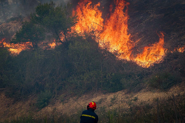 Θλιβερός ο απολογισμός από τη φωτιά στη Χαλκιδική: Κάηκαν πάνω από 2.000 στρέμματα