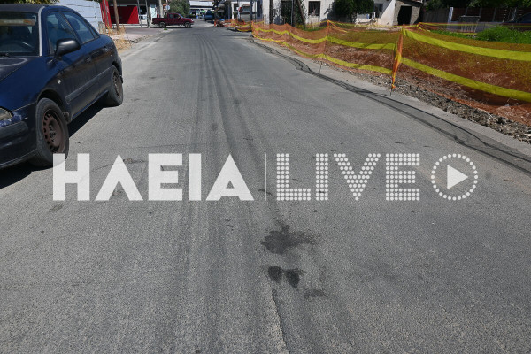 «Νόμιζα ότι το σκυλί είχε απομακρυνθεί, πίστεψα ότι έπεσα σε λακούβα» λέει η 60χρονη οδηγός από τη Γαστούνη