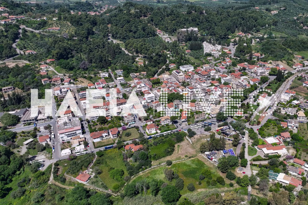 Αρ. Παναγιωτόπουλος: Οργανώνει πλαίσιο προτεραιοτήτων για τις παρεμβάσεις στον Δήμο Αρχ. Ολυμπίας