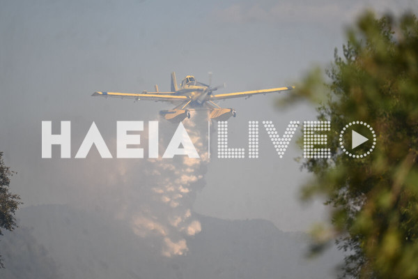 Ηλεία: Σε ύφεση και χωρις ενεργό μετωπο η πυρκαγιά στη Βάρδα
