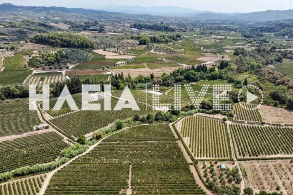 Καννής για «ιερές εκτάσεις» : Ουδέποτε έπαψε να ανήκει η καλλιεργήσιμη γη στους κατοίκους
