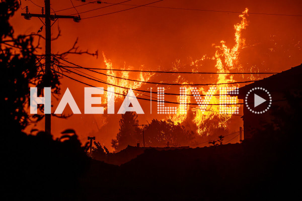 Ηλεία: Με δόσεις και πολλά «αν» οι αποζημιώσεις για τους πυρόπληκτους του 2025