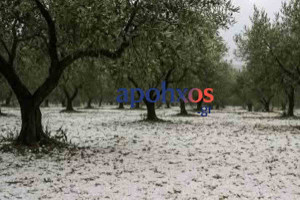 Το “στρώσε” με… χαλάζι σε χωριά του Δήμου Κορινθίων – Φόβοι για ζημιές σε καλλιέργειες (photos)
