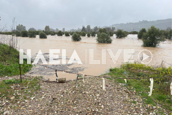 Καλυβάκια: Εκτός ορίων ο Αλφειός "βγήκε" και στον παραποτάμιο δρόμο (photos & video)