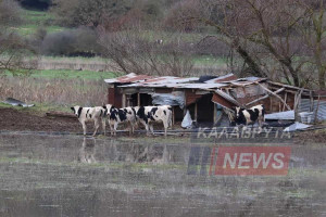 Βουραϊκός ποταμός: Πλημμύρες, βάλτοι και κατεστραμμένες καλλιέργειες (photos)