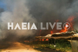 Θανάσης Βομπίρης: «Η πυρκαγιά στη N. Μανωλάδα αποκάλυψε για άλλη μια φορά την εκμετάλλευση και τις άθλιες συνθήκες διαβίωσης»