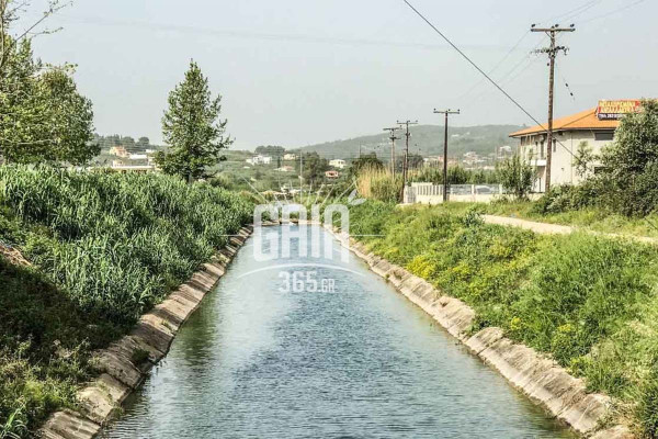 Α (Τ.Ο.Ε.Β.) Πύργου: Επείγουσα ανακοίνωση προς όλους τους αρδευτές-μέλη