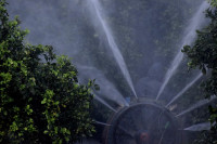Σχεδόν οι μισοί αγρότες παγκοσμίως δηλητηριάζονται από φυτοφάρμακα κάθε χρόνο