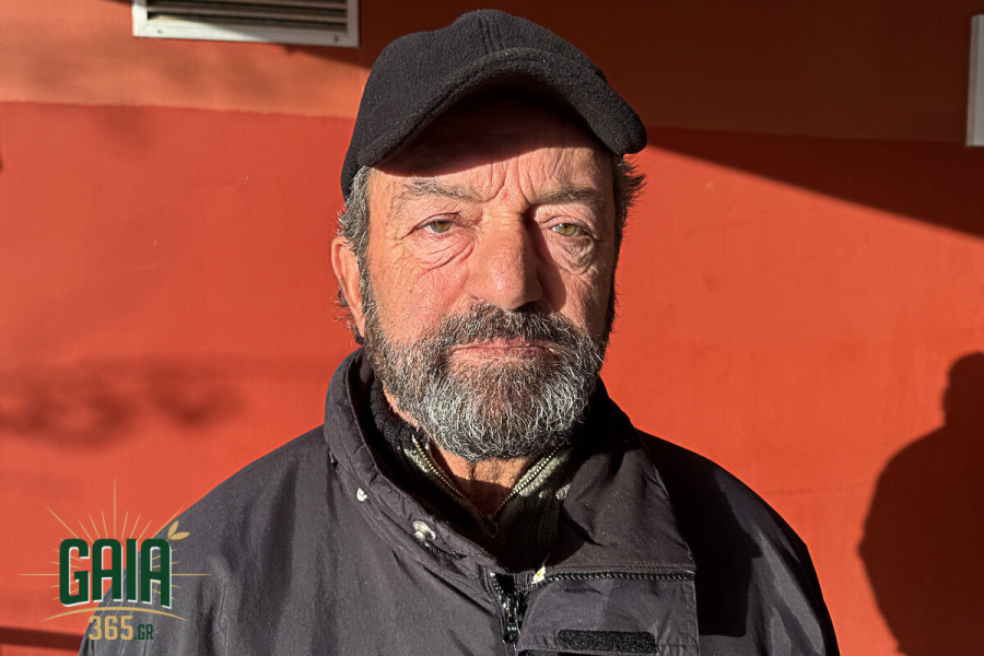 ΟΑΣΗ: Αλληλεγγύη στους ναυτεργάτες – Όχι στον κοινωνικό αυτοματισμό