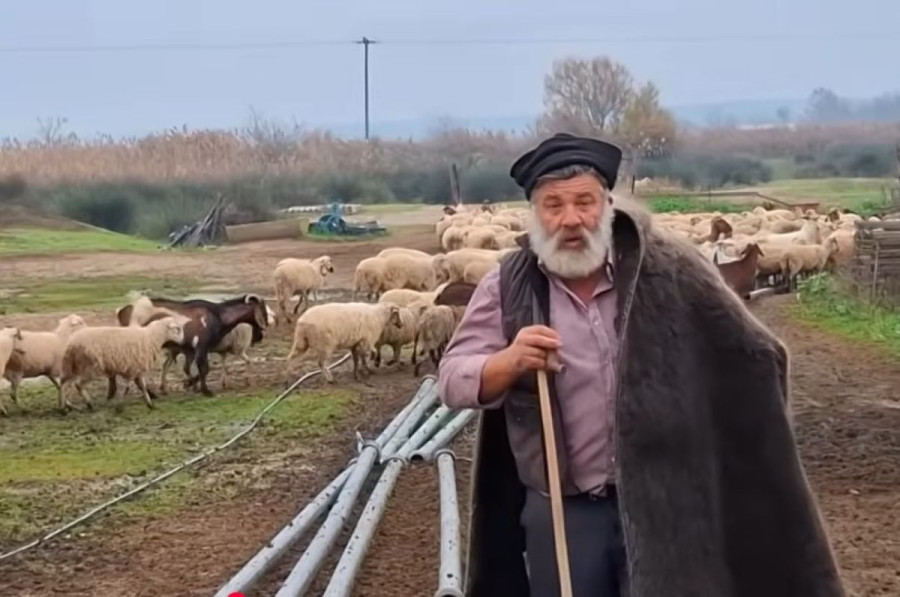 Κατέρρευσε ο κτηνοτρόφος που αποχαιρέτησε με δάκρυα τα 450 πρόβατά του - Νοσηλεύεται στο νοσοκομείο
