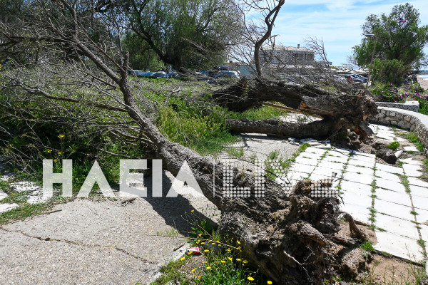 Αποκαρδιωτική και επικίνδυνη η εικόνα του πάλαι ποτέ «ζωντανού» κάμπινγκ στην καρδιά της Κουρούτας