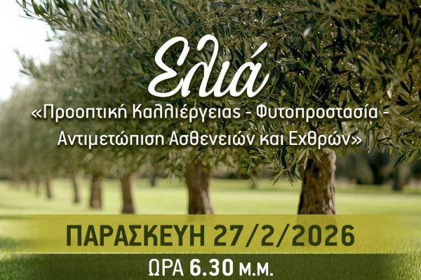 Ημερίδα του Δήμου Πύργου την Παρασκευή για την Ελιά