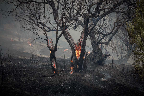Δήμαρχος και αντιδήμαρχος συνελήφθησαν στην Πάρο