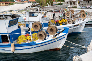 Συνάντηση του πρόεδρου του ΣΥΡΙΖΑ-ΠΣ Σωκράτη Φάμελλου με τον Ευρωπαίο Επίτροπο Αλιείας και Ωκεανών Κώστα Καδή