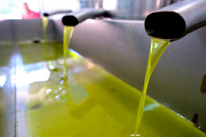 Στα 5,95 ευρώ η πρώτη εμπορική πράξη για το νέο ελαιόλαδο στη Λακωνία