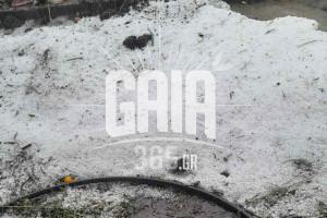 «Τρυγήσαμε από τον Μάιο…»: Σφοδρή χαλαζόπτωση ισοπέδωσε σταφίδες και αμπέλια σε χωριά του Δήμου Πύργου