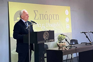 Ανδριανός: Τέσσερις άξονες πολιτικής για τη βιωσιμότητα του ρυζιού