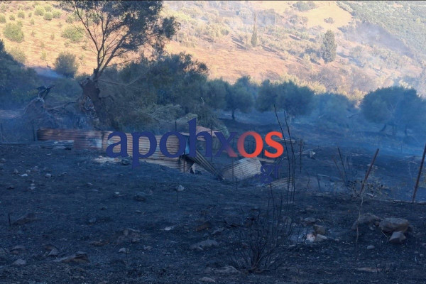 Καλύτερη η εικόνα της φωτιάς στον Φλόκα Δυτικής Αχαΐας