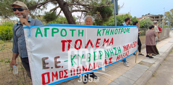 «Δεν θα πληρώσουμε ξανά τα σπασμένα» – Σφοδρή αντίδραση της ΟΑΣΗ για τα «ραβασάκια» επιστροφών από την ΑΑΔΕ
